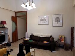 Serangoon Garden Estate (D19), Terrace #574089451
